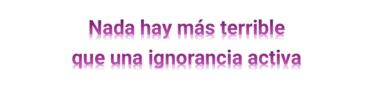 No solo para Arturo Pérez-Reverte